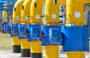На Украине назвали ошибку правительства, которая привела к газовому кризису