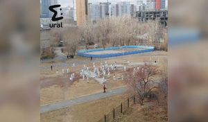В Екатеринбурге подростки устроили "Игру в кальмара" прямо у школы