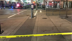 Вооружённый мачете мужчина напал на прохожих в Канаде, ранены четверо