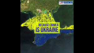 Миссия США при ОБСЕ в публикации про "украинский" Крым разместила флаг вверх ногами