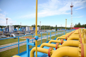 Посол РФ назвал чепухой заявления об использовании газа как политического оружия
