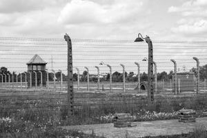 Ветеран ВОВ заплакала, узнав про суд над столетним охранником концлагеря в Германии