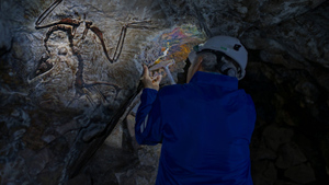 От Кузбасса до США: Самые странные находки шахтёров, которые обнаружены под землёй