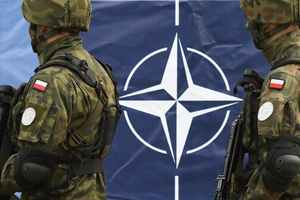 "Мы готовы применить оружие": Министр обороны Германии призвала НАТО начать угрожать России