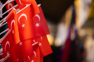 Лидер оппозиции Турции назвал причины высылки послов десяти стран