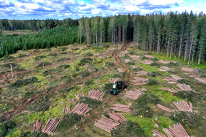 В Хабаровске выявили контрабанду леса в Китай на 3,2 миллиарда рублей