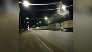 "Стоим колом 29-й день": Сотни грузовиков застряли на границе с Китаем, неделями ожидая очереди на въезд в страну