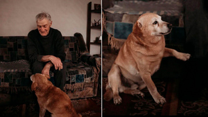 В Новосибирске волонтёры собирают деньги на лечение пса известного дедушки-гармониста