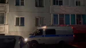 Тихий двор рядом с гаражами: СК опубликовал видео с места убийства сестёр-школьниц в Кызыле