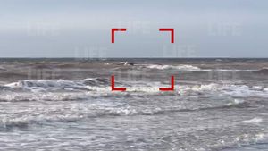 Лайф публикует видео с судном, затонувшим в Белом море
