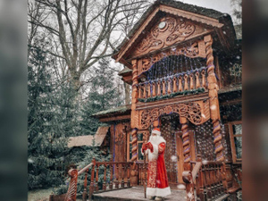 В Беловежской пуще ищут Деда Мороза на зарплату в $400