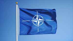 В Госдуме указали на язык диктата после слов Столтенберга о высылке НАТО российских дипломатов