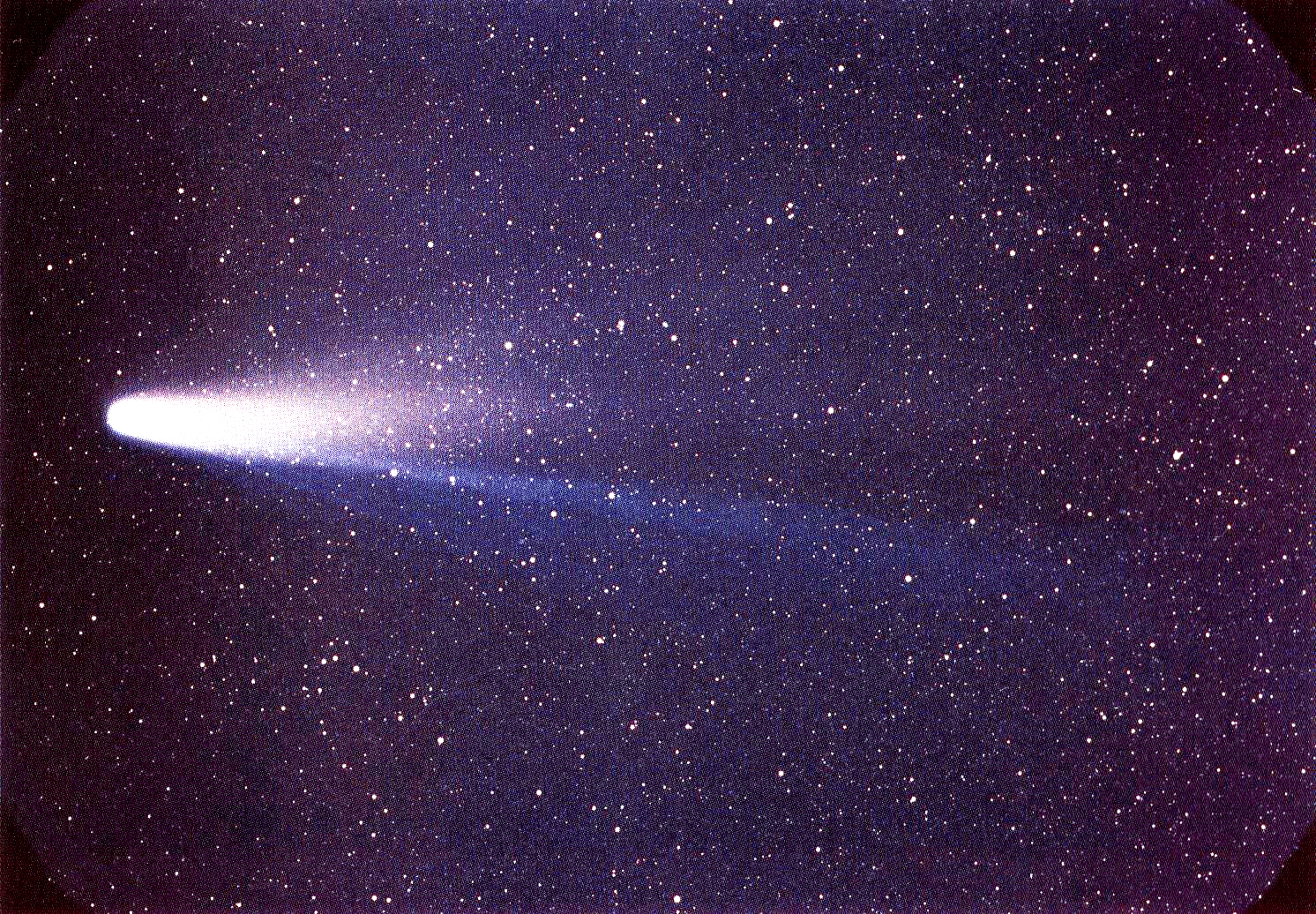 Комета Галлея в 1986 году. Фото © Wikipedia