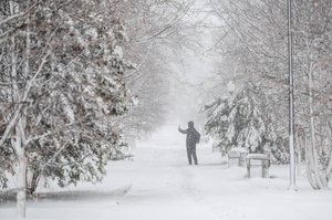 Вильфанд предупредил о снеге и ливнях в нескольких российских регионах