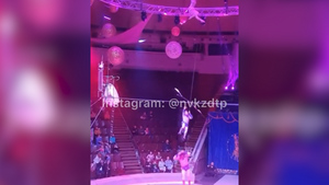 В Новокузнецке три цирковых гимнаста сорвались с каната во время выступления