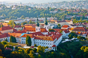 В Чехии озвучили предварительные результаты парламентских выборов