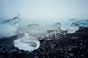 Таяние льдов в Сибири и Канаде может привести к пробуждению опасных вирусов