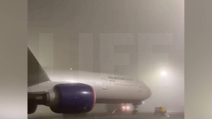 Аэропорты Москвы отменили или задержали более 50 рейсов из-за тумана