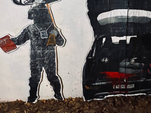 Депутата Рашкина в багажнике авто и "лося-убийцу" нарисовали у штаба КПРФ