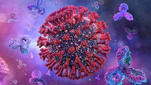 Одно против всех: Учёные нашли универсальное антитело к разным коронавирусам