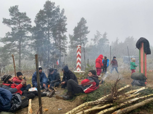 Зампостпреда России при ООН: Много вопросов к ЕС по кризису на границе Польши