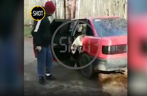 Суд арестовал жителя Мытищ, который натравил бойцовскую собаку на соседку