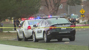 Пятеро подростков пострадали при стрельбе возле школы в Колорадо