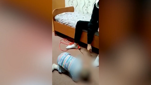 Курганские власти проверят детдома и интернаты после издевательств над малышом