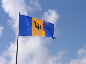 Барбадос станет первым независимым государством с посольством в метавселенной