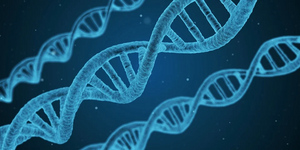 Казахстанские учёные предложили искать следы инопланетян в ДНК человека