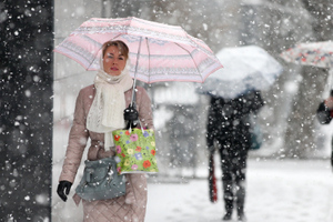 Вильфанд опроверг прогноз о мощнейшем за 73 года снегопаде в Центральной России