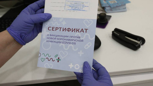В России возбуждено 503 дела из-за торговли поддельными сертификатами о вакцинации