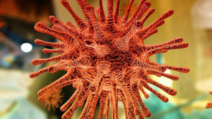 "Может быть, верх совершенства": Вирусолог Альтштейн назвал идеальный штамм ковида