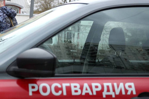 Житель Подмосковья убил свою мать, поджёг дом и погиб в перестрелке с силовиками