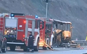 "Картина ужасающая": Водитель автобуса, в котором заживо сгорело 45 туристов, мог уснуть за рулём