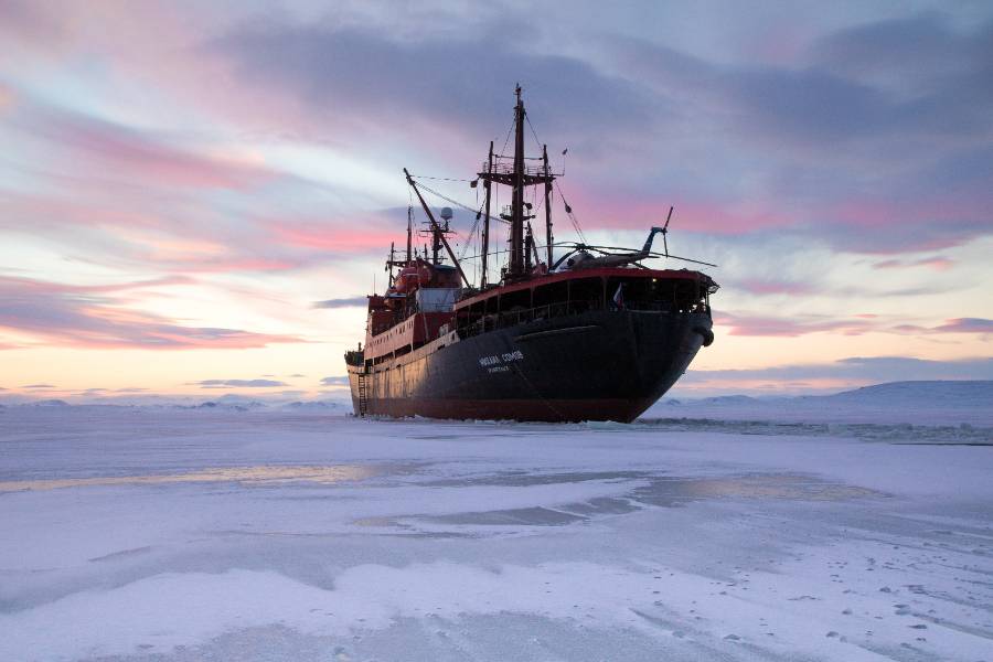 <p>Судно "Михаил Сомов" во льдах на Северном морском пути. Фото © ТАСС / Вера Костамо</p>
