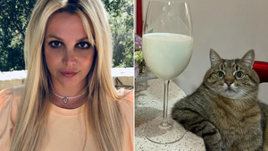 Бритни Спирс использовала украинского кота Степана, чтобы выразить свои чувства