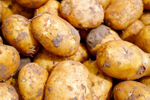 Эксперт Строгая рассказала о росте цен на картофель из-за плохого урожая