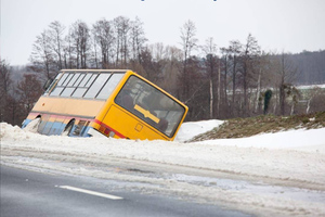 В Новгородской области перевернулся автобус с 15 пассажирами