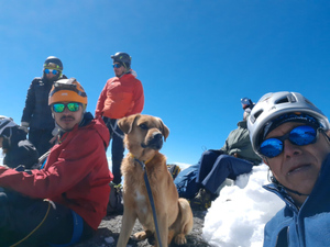 Альпинисты поднялись на самый высокий вулкан Мексики, чтобы спасти собаку