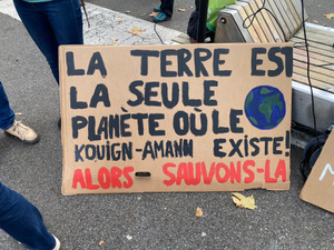Тысячи человек вышли на климатические манифестации во Франции