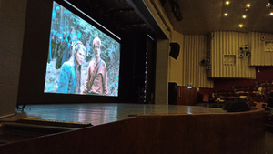 Смотрели кино и пили чай с вафлями: В Норильске около 130 человек ночевали в кинотеатре из-за сильной метели