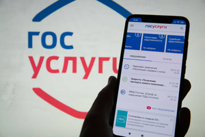 На "Госуслугах" за ноябрь обработали 60 млн заявлений