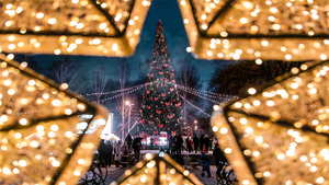Убожество или оригинальность: Самые странные новогодние ёлки в России