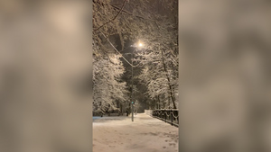 Зимняя сказка: Москву накрыл мощнейший за 32 года снегопад