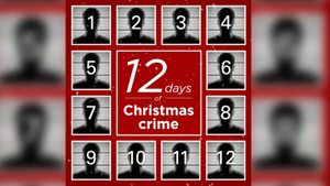 "Вы можете помочь нам их найти?": Полиция Лондона выпустила рождественский адвент-календарь с преступниками в розыске