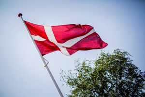 Дания выделила 257 тысяч евро на борьбу с коррупцией на Украине