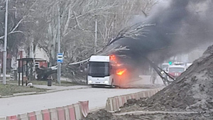 Автобус с 40 пассажирами загорелся в Таганроге из-за упавшего дерева