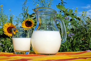 Доктор Мясников посоветовал мужчинам пить не более двух стаканов молока в день