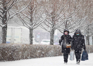 Метеоролог Вильфанд рассказал о погоде в европейской части России после Нового года